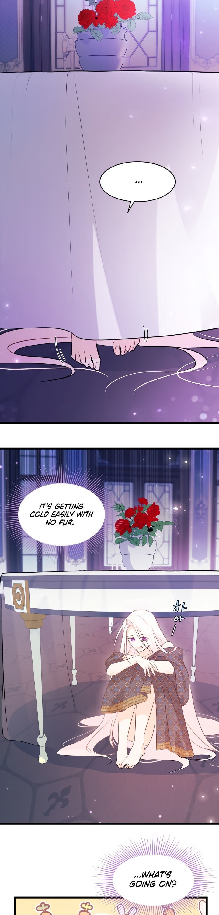 A Symbiotic Relationship Between A Rabbit And A Black Panther chapter 19 page 15