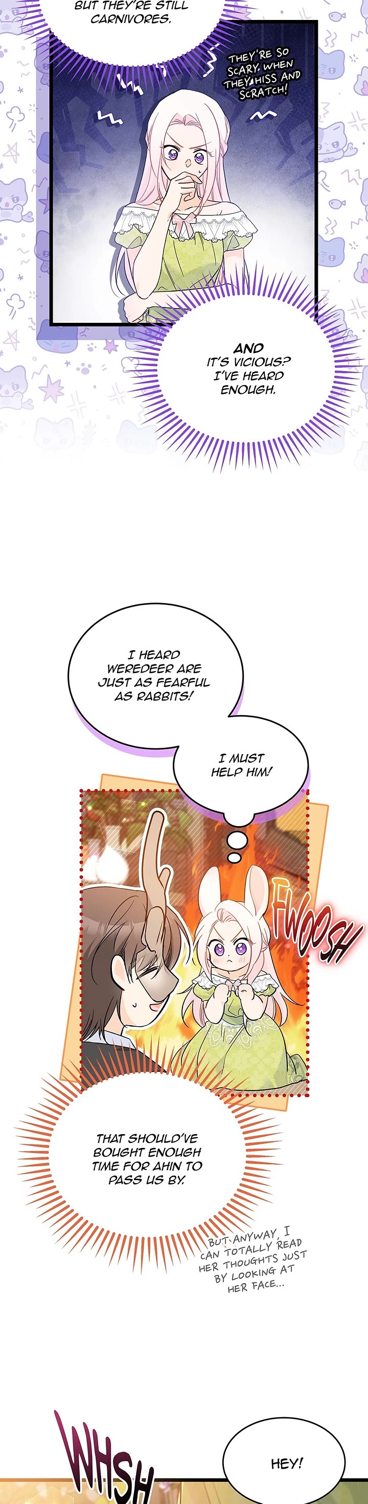 A Symbiotic Relationship Between A Rabbit And A Black Panther chapter 193 page 5