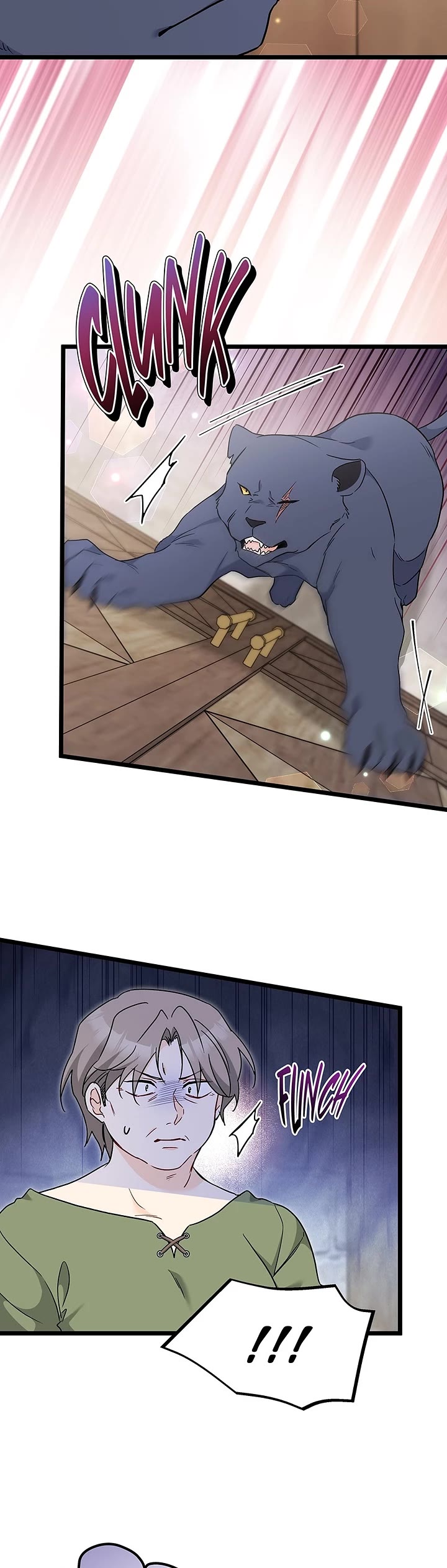 A Symbiotic Relationship Between A Rabbit And A Black Panther chapter 195 page 17