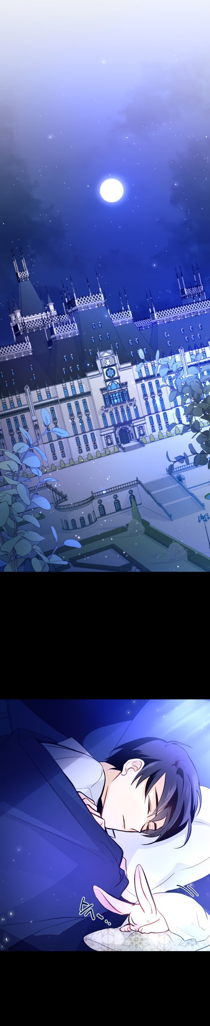 A Symbiotic Relationship Between A Rabbit And A Black Panther chapter 2 page 25