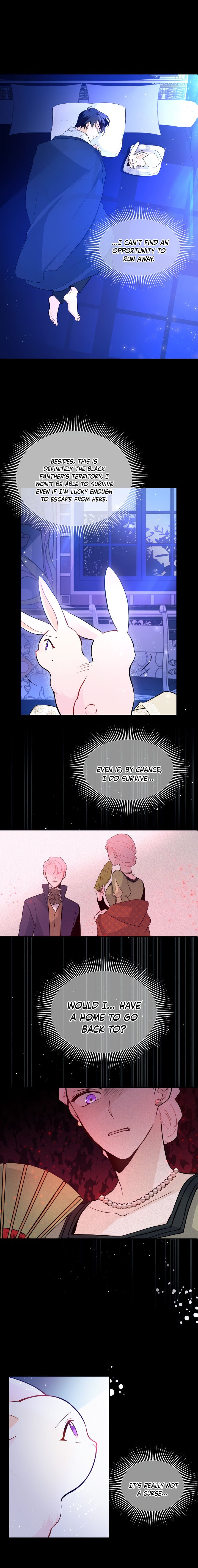 A Symbiotic Relationship Between A Rabbit And A Black Panther chapter 2 page 26