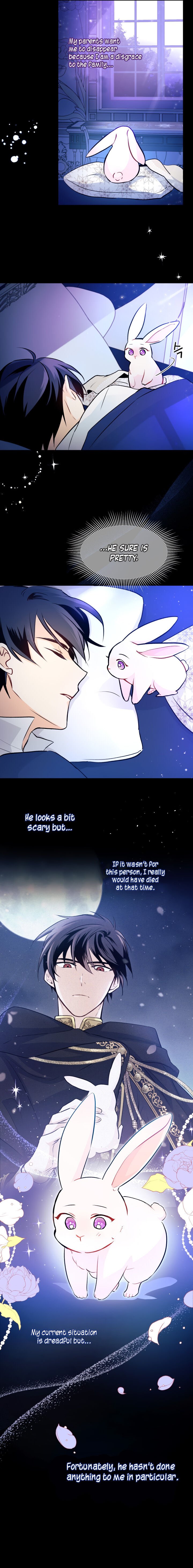 A Symbiotic Relationship Between A Rabbit And A Black Panther chapter 2 page 27