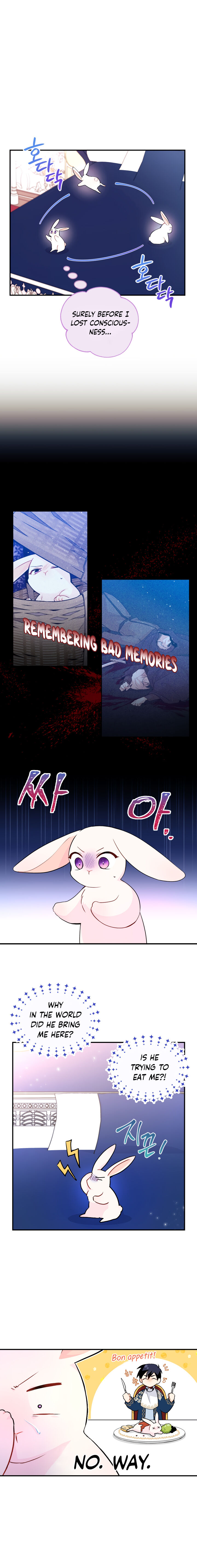 A Symbiotic Relationship Between A Rabbit And A Black Panther chapter 2 page 3