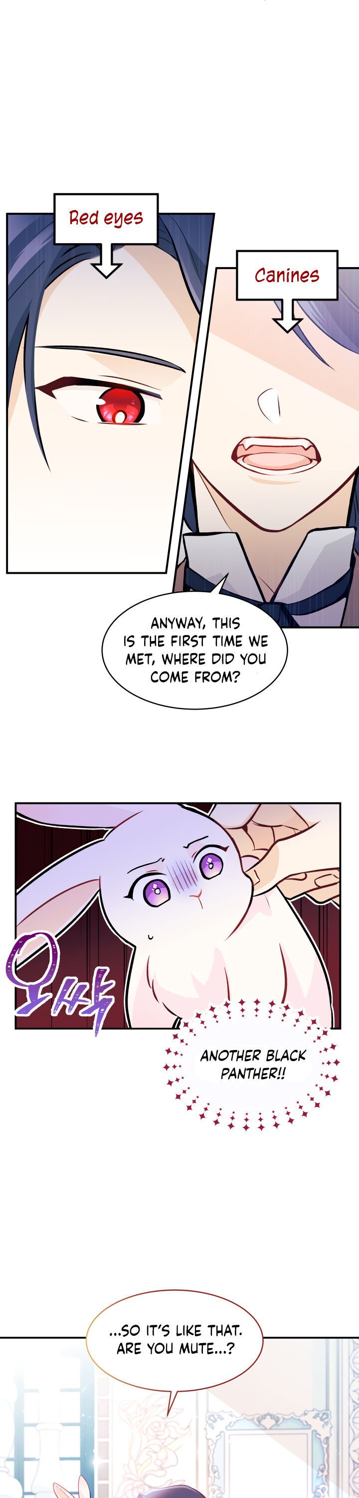 A Symbiotic Relationship Between A Rabbit And A Black Panther chapter 2 page 8