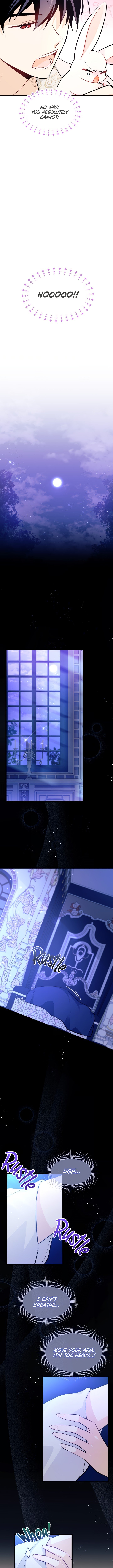 A Symbiotic Relationship Between A Rabbit And A Black Panther chapter 23 page 11