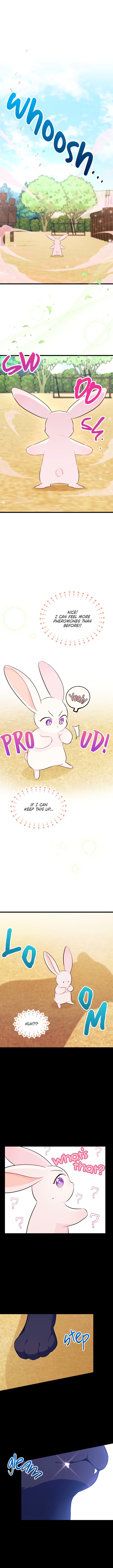 A Symbiotic Relationship Between A Rabbit And A Black Panther chapter 23 page 2