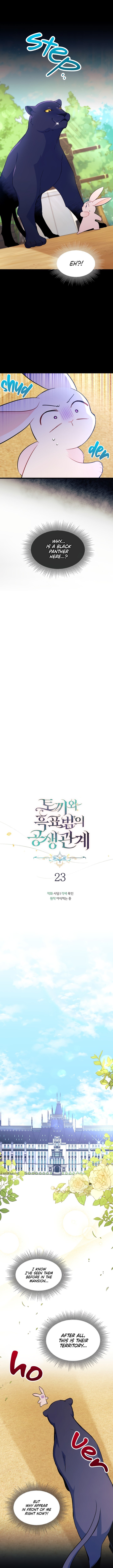 A Symbiotic Relationship Between A Rabbit And A Black Panther chapter 23 page 3