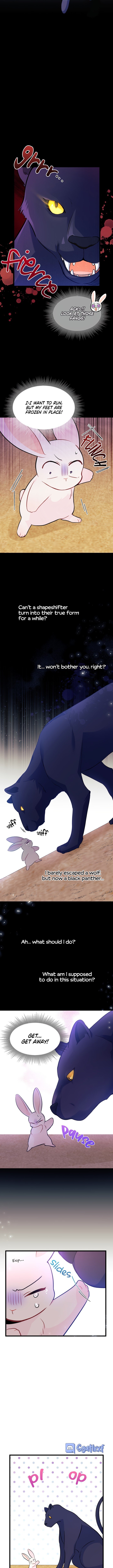 A Symbiotic Relationship Between A Rabbit And A Black Panther chapter 23 page 4