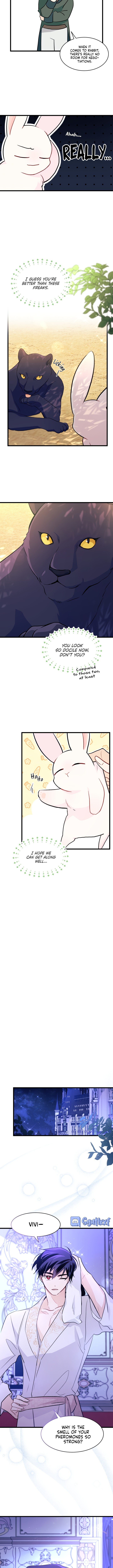 A Symbiotic Relationship Between A Rabbit And A Black Panther chapter 23 page 8