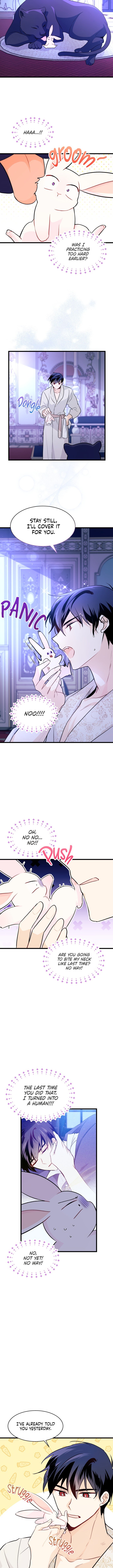 A Symbiotic Relationship Between A Rabbit And A Black Panther chapter 23 page 9