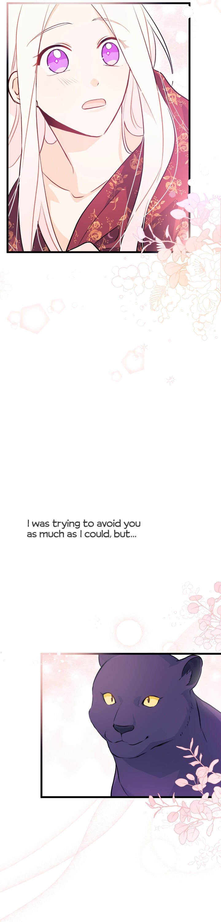 A Symbiotic Relationship Between A Rabbit And A Black Panther chapter 24 page 29