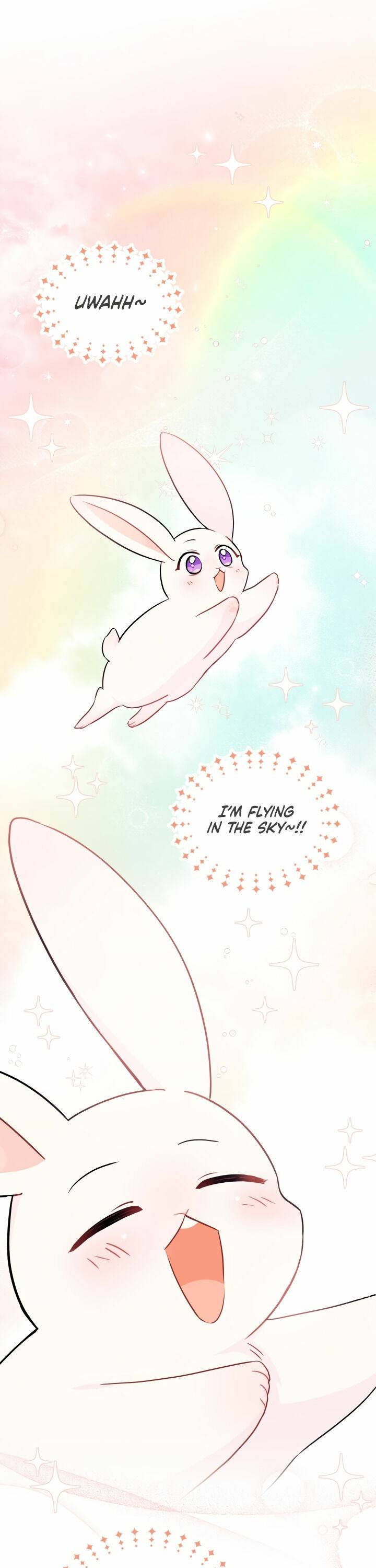 A Symbiotic Relationship Between A Rabbit And A Black Panther chapter 25 page 1