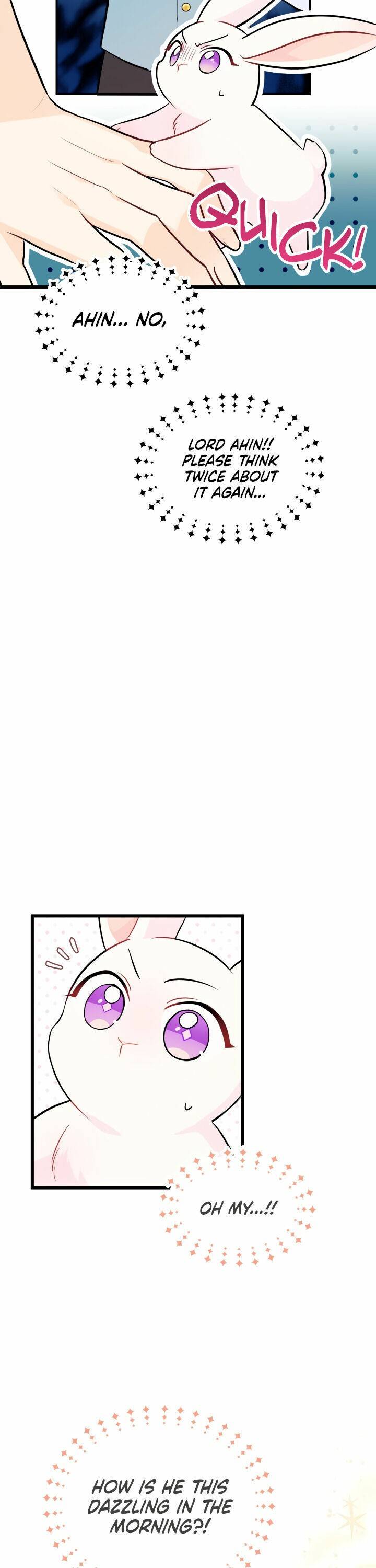 A Symbiotic Relationship Between A Rabbit And A Black Panther chapter 25 page 12