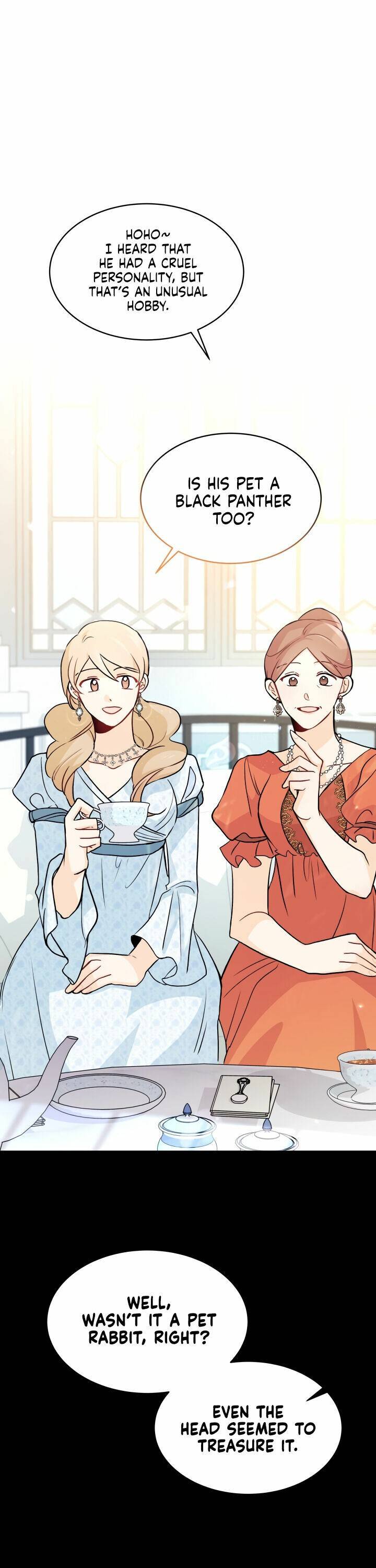 A Symbiotic Relationship Between A Rabbit And A Black Panther chapter 25 page 21