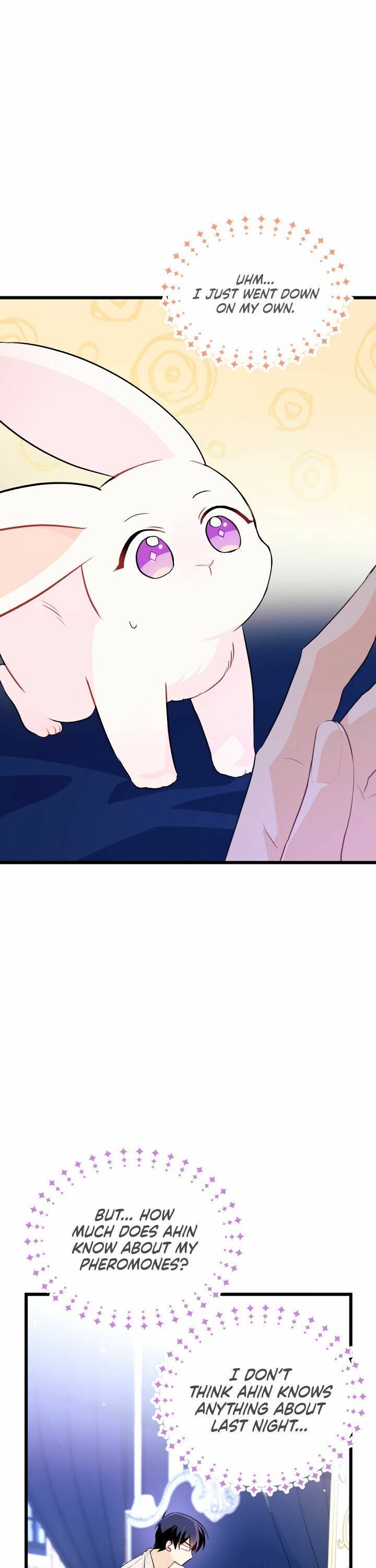 A Symbiotic Relationship Between A Rabbit And A Black Panther chapter 25 page 7