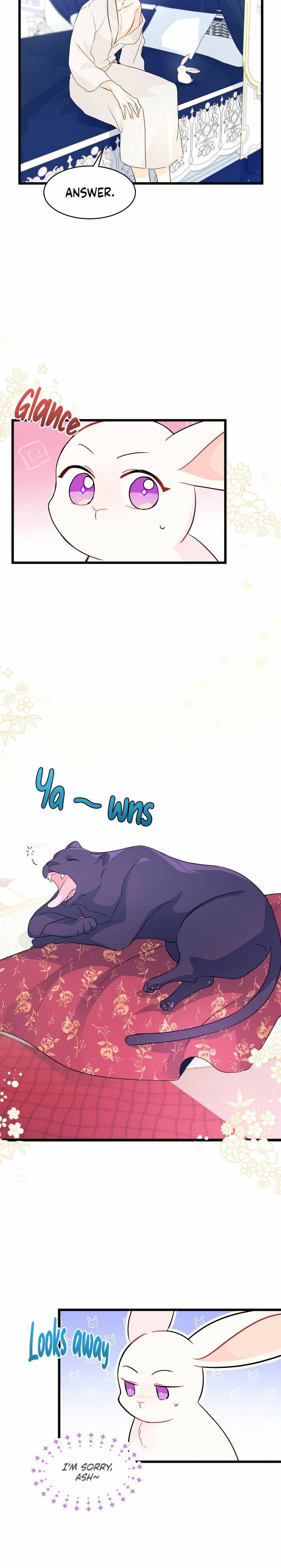 A Symbiotic Relationship Between A Rabbit And A Black Panther chapter 25 page 8