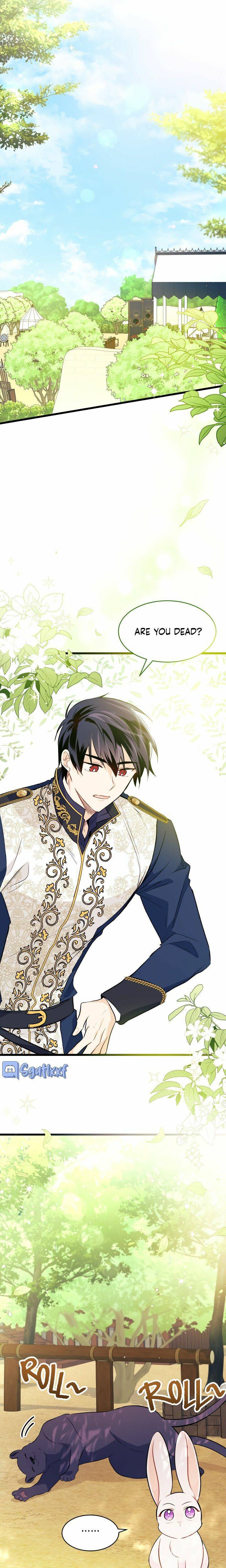 A Symbiotic Relationship Between A Rabbit And A Black Panther chapter 26 page 14