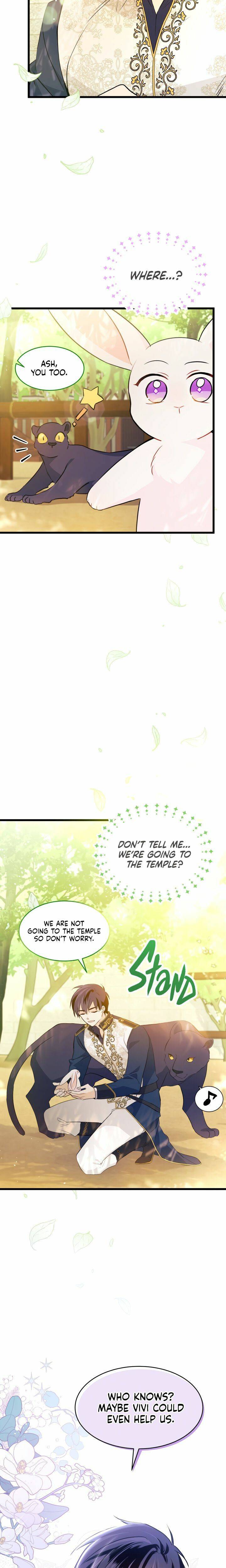 A Symbiotic Relationship Between A Rabbit And A Black Panther chapter 26 page 17