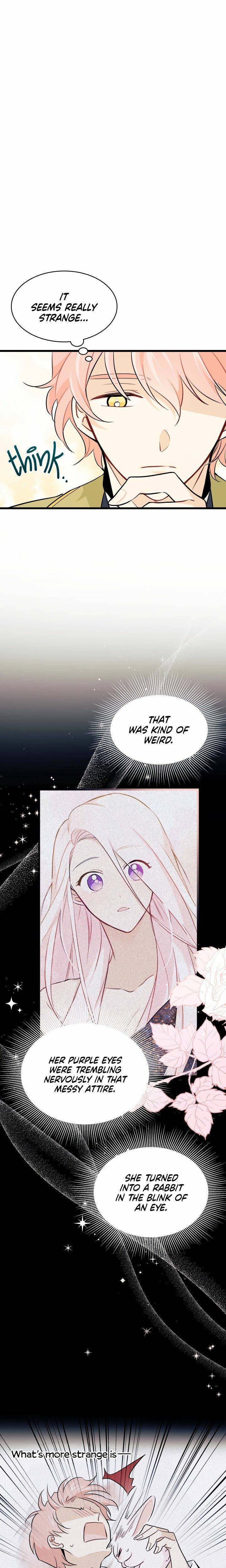 A Symbiotic Relationship Between A Rabbit And A Black Panther chapter 26 page 4