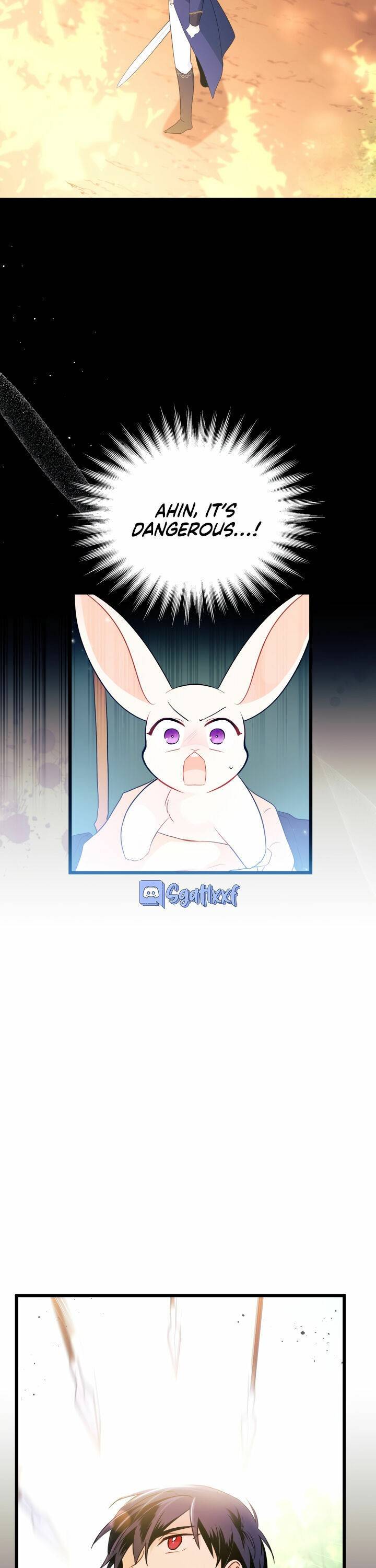 A Symbiotic Relationship Between A Rabbit And A Black Panther chapter 27 page 12