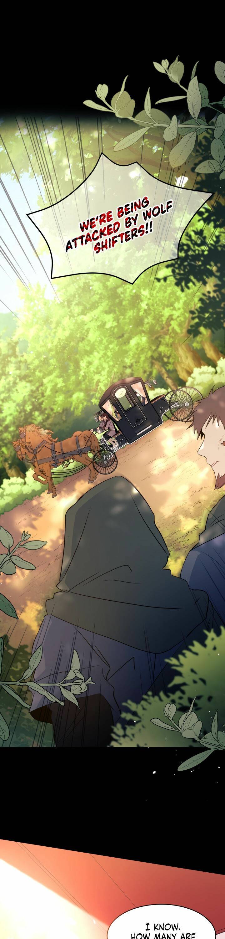 A Symbiotic Relationship Between A Rabbit And A Black Panther chapter 27 page 2