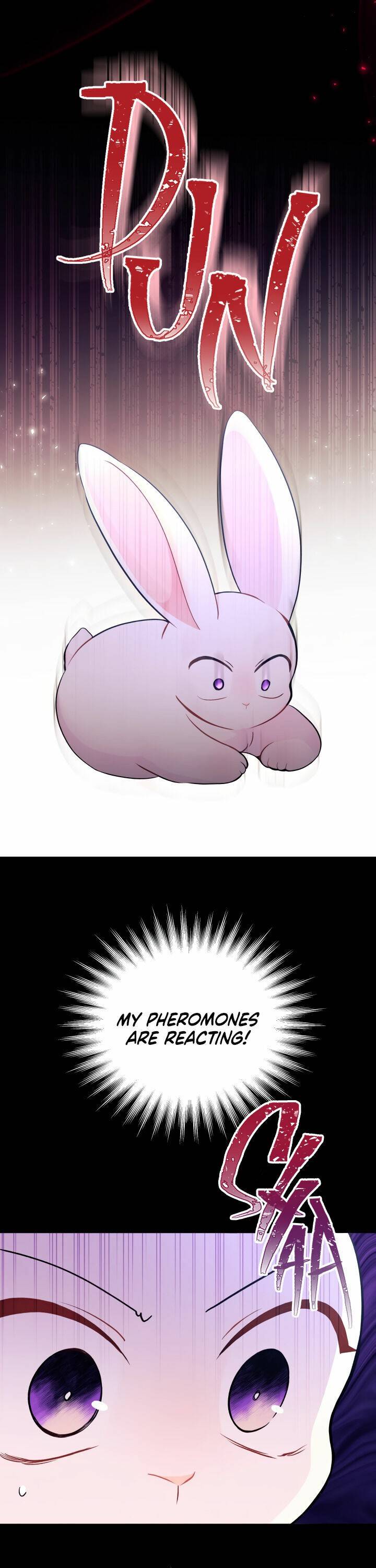 A Symbiotic Relationship Between A Rabbit And A Black Panther chapter 27 page 29