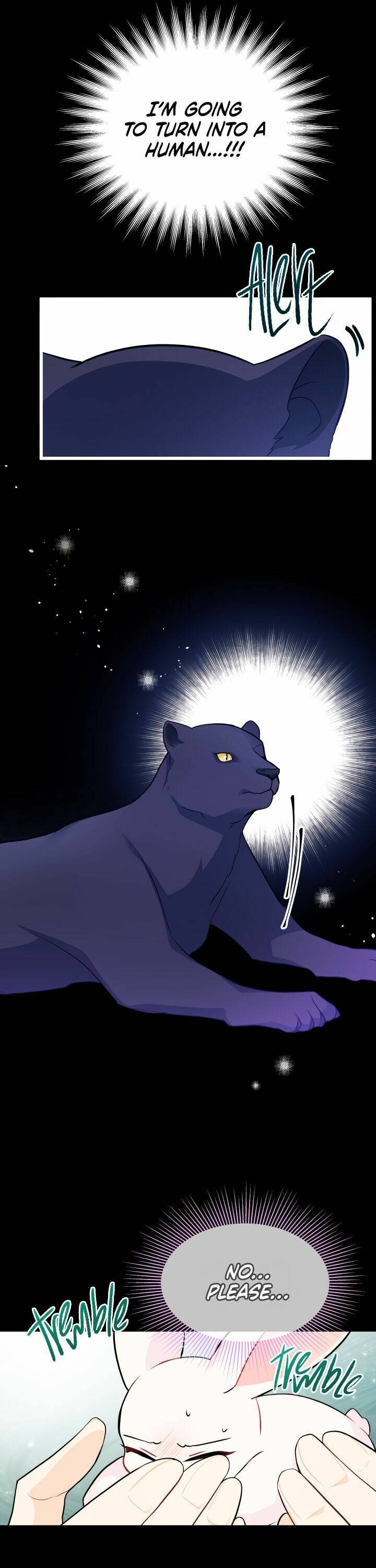 A Symbiotic Relationship Between A Rabbit And A Black Panther chapter 27 page 30