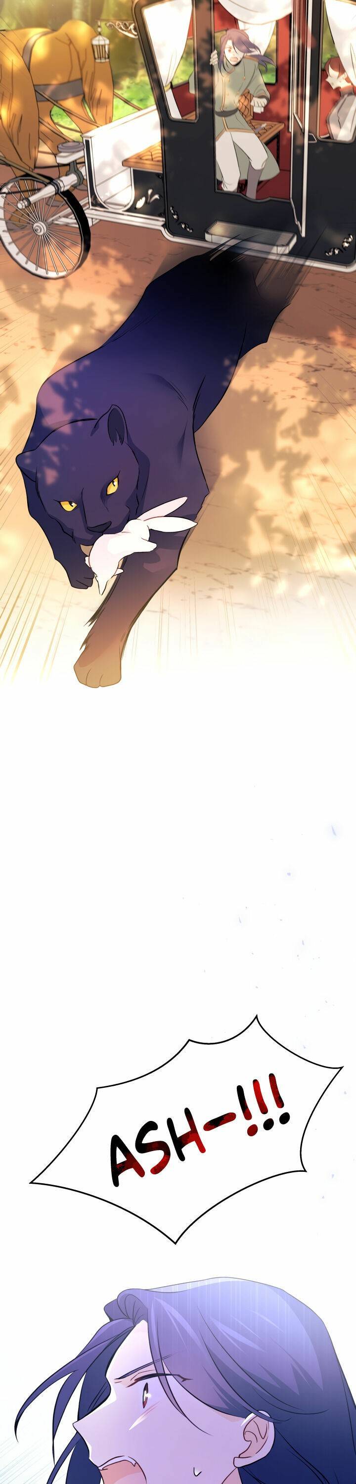 A Symbiotic Relationship Between A Rabbit And A Black Panther chapter 27 page 33