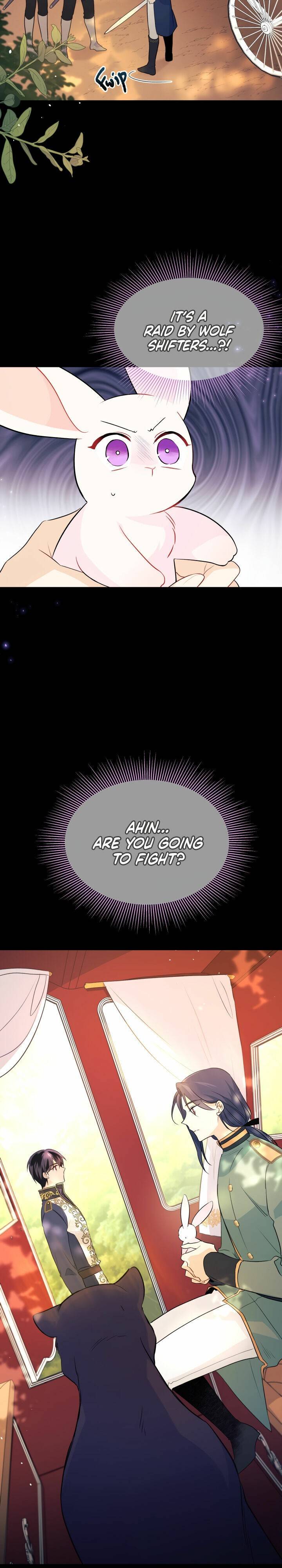 A Symbiotic Relationship Between A Rabbit And A Black Panther chapter 27 page 4