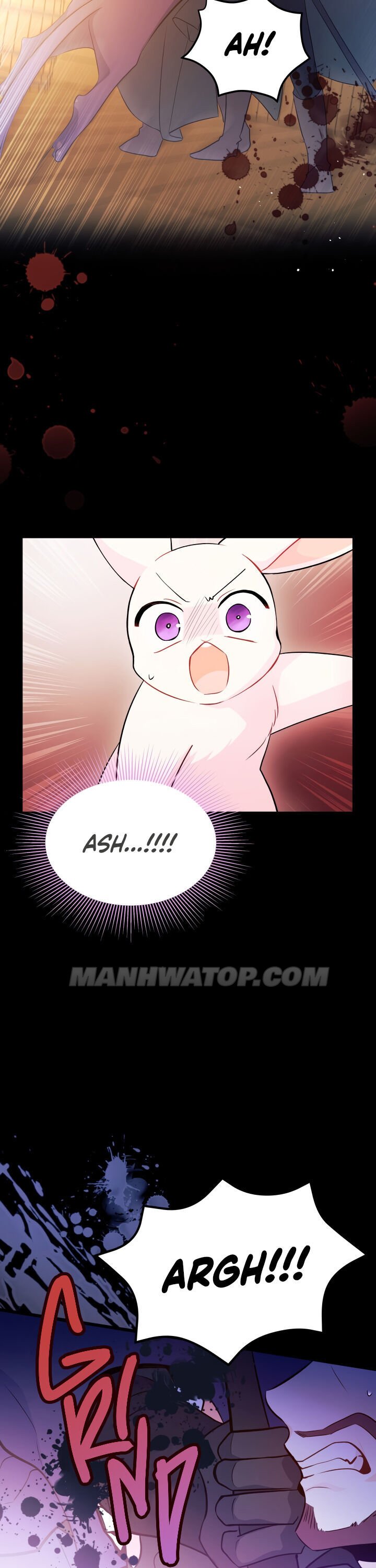 A Symbiotic Relationship Between A Rabbit And A Black Panther chapter 28 page 13