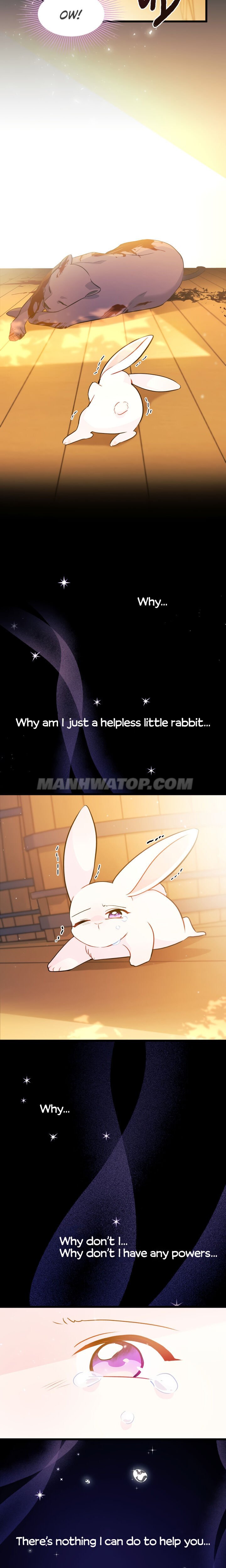 A Symbiotic Relationship Between A Rabbit And A Black Panther chapter 28 page 24