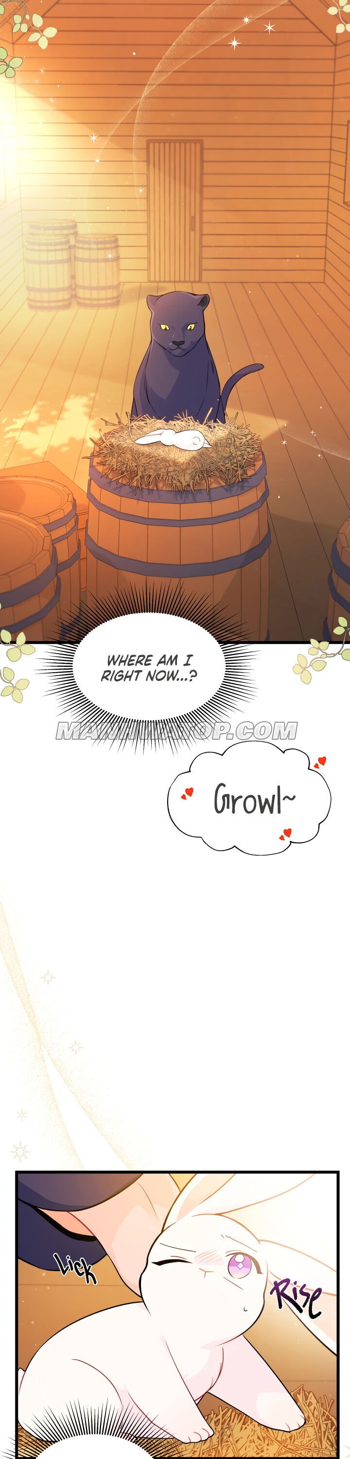 A Symbiotic Relationship Between A Rabbit And A Black Panther chapter 28 page 5