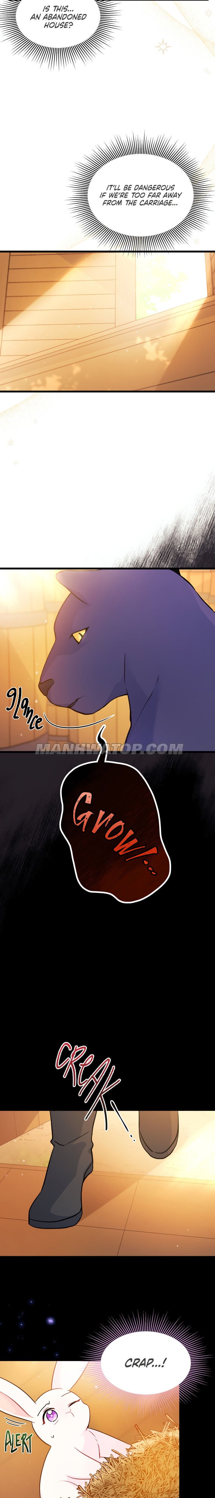 A Symbiotic Relationship Between A Rabbit And A Black Panther chapter 28 page 6