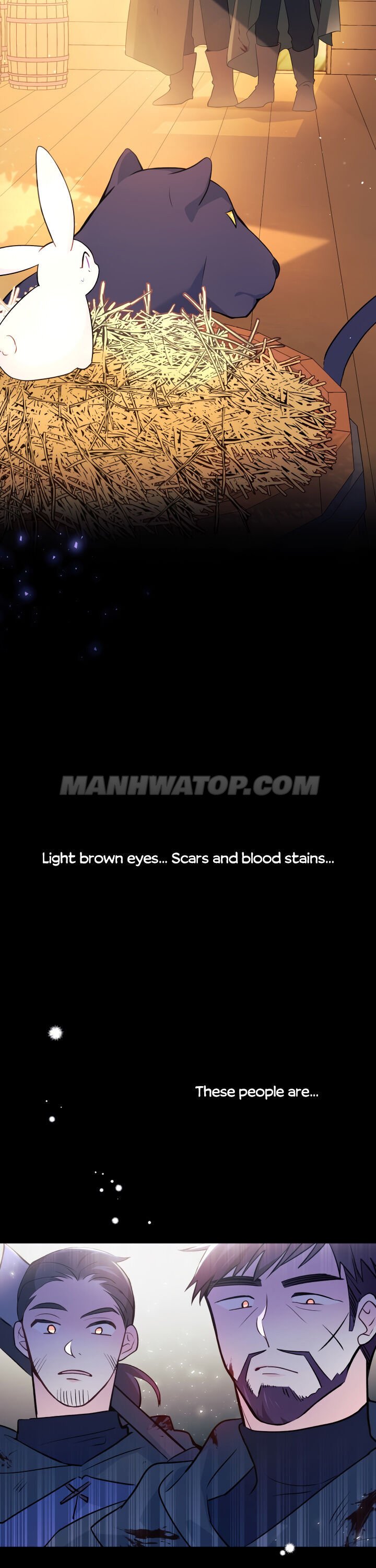 A Symbiotic Relationship Between A Rabbit And A Black Panther chapter 28 page 8