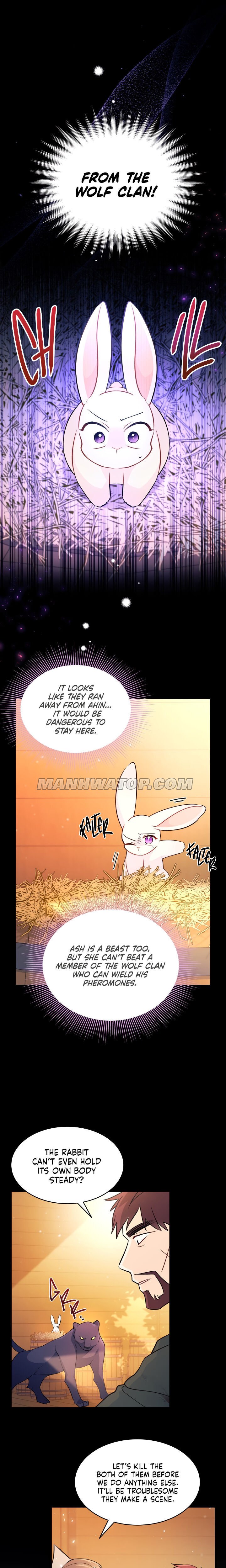 A Symbiotic Relationship Between A Rabbit And A Black Panther chapter 28 page 9