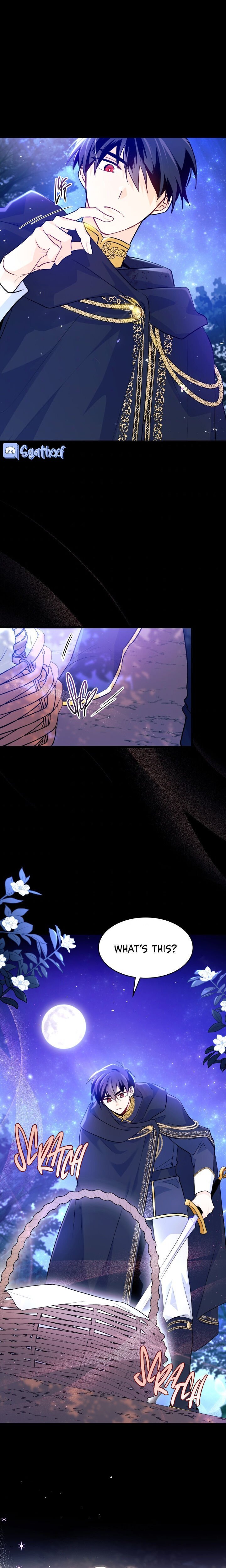 A Symbiotic Relationship Between A Rabbit And A Black Panther chapter 29 page 15