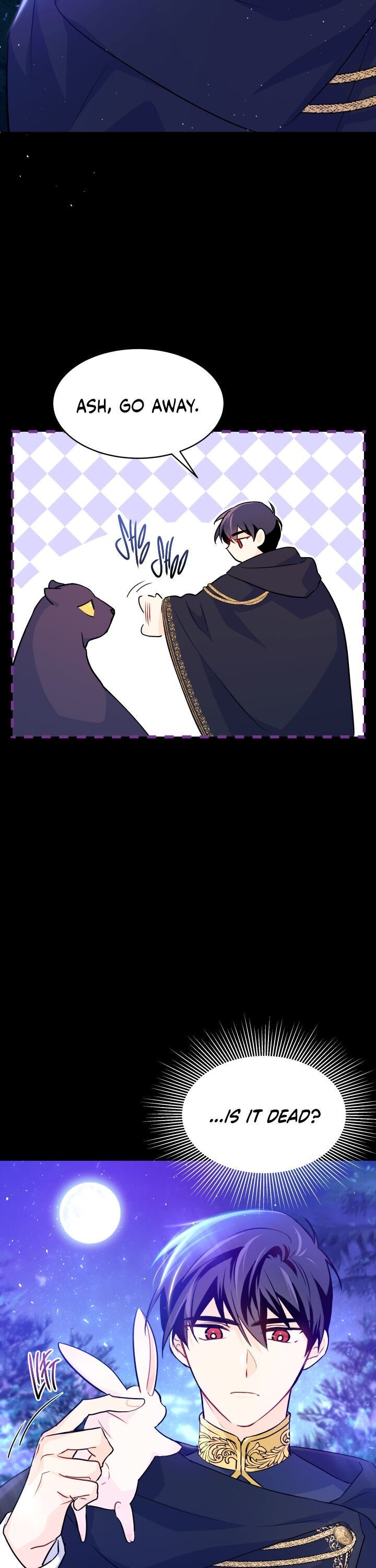 A Symbiotic Relationship Between A Rabbit And A Black Panther chapter 29 page 17