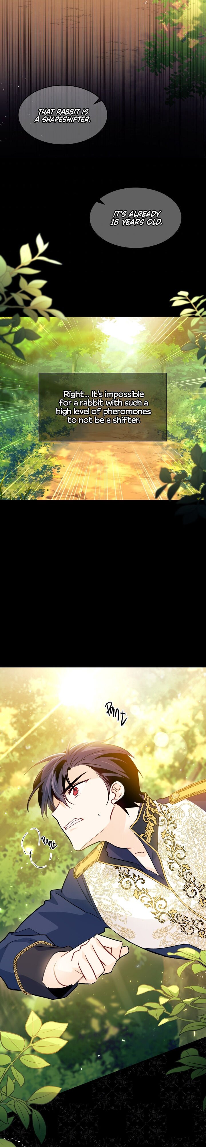 A Symbiotic Relationship Between A Rabbit And A Black Panther chapter 29 page 27