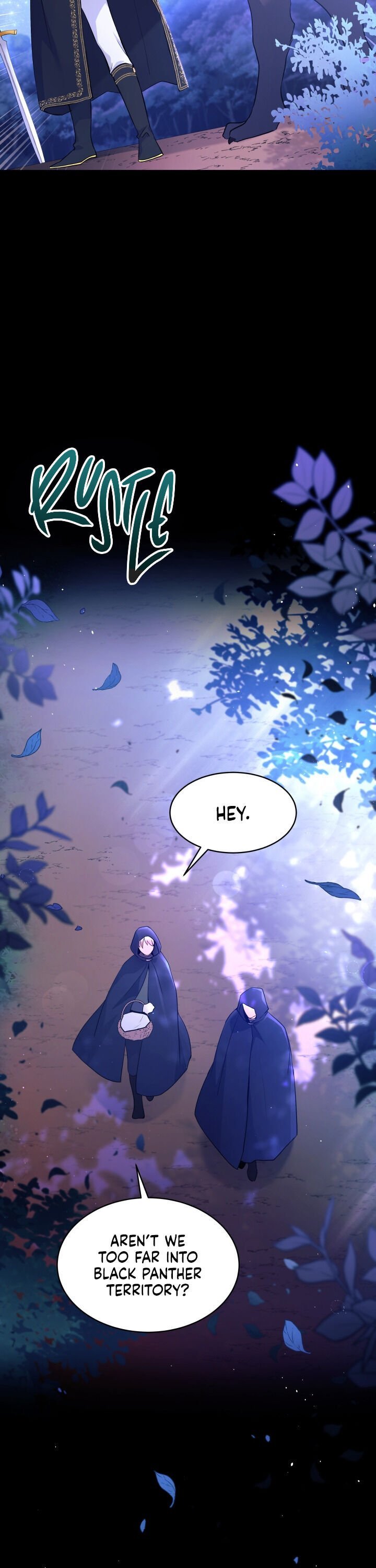 A Symbiotic Relationship Between A Rabbit And A Black Panther chapter 29 page 9