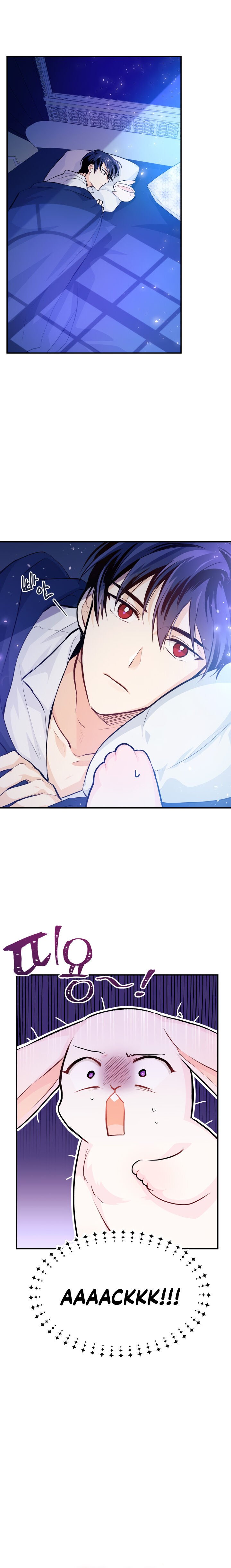 A Symbiotic Relationship Between A Rabbit And A Black Panther chapter 3 page 1