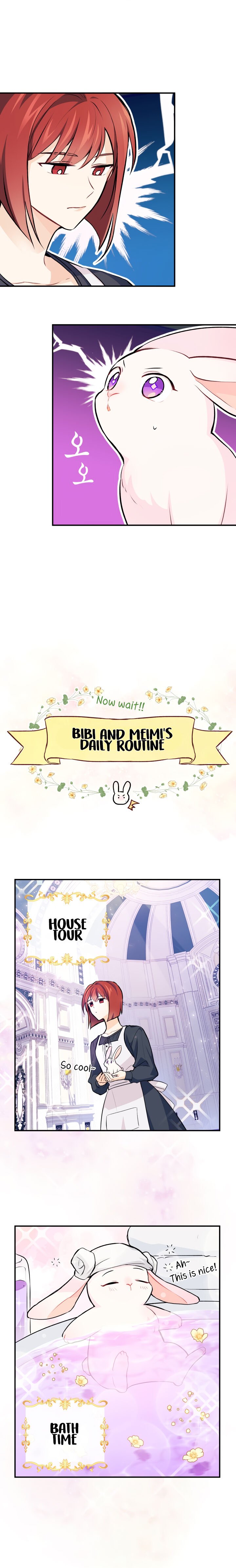 A Symbiotic Relationship Between A Rabbit And A Black Panther chapter 3 page 11