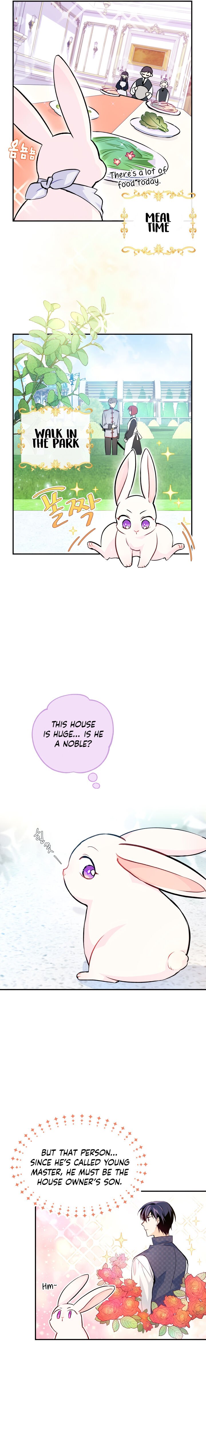 A Symbiotic Relationship Between A Rabbit And A Black Panther chapter 3 page 12