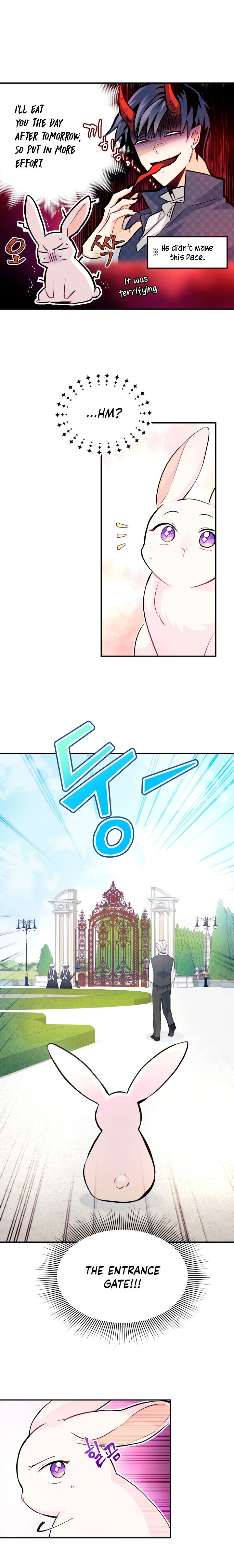 A Symbiotic Relationship Between A Rabbit And A Black Panther chapter 3 page 13