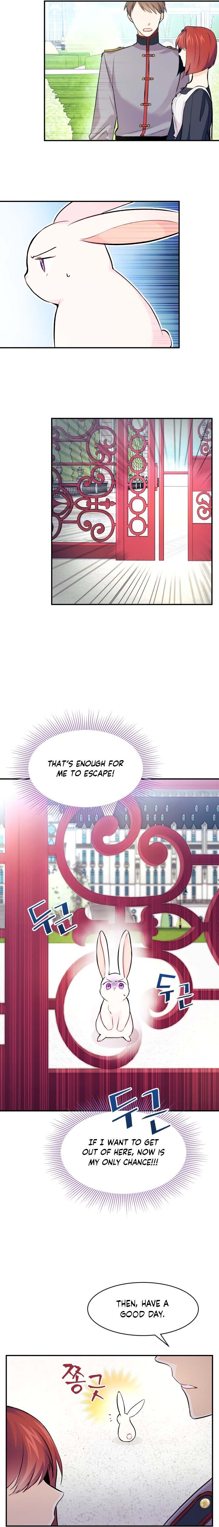 A Symbiotic Relationship Between A Rabbit And A Black Panther chapter 3 page 14