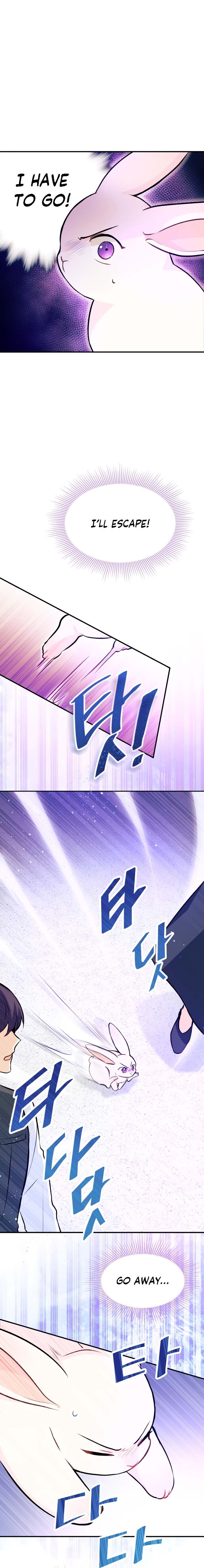 A Symbiotic Relationship Between A Rabbit And A Black Panther chapter 3 page 15