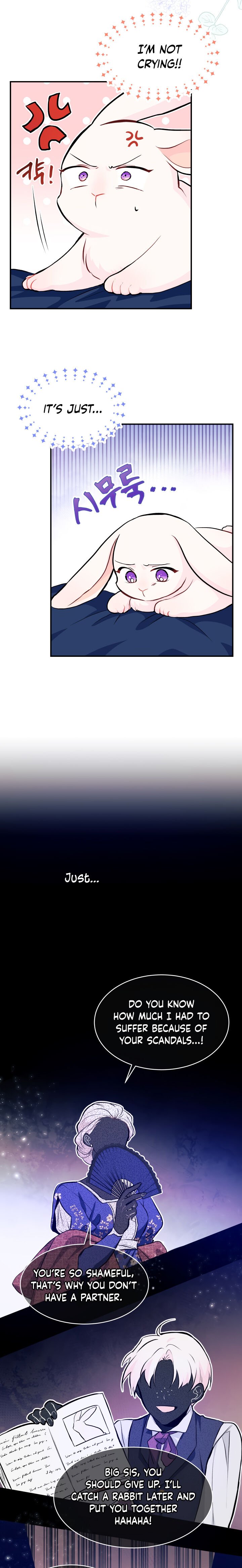 A Symbiotic Relationship Between A Rabbit And A Black Panther chapter 3 page 3