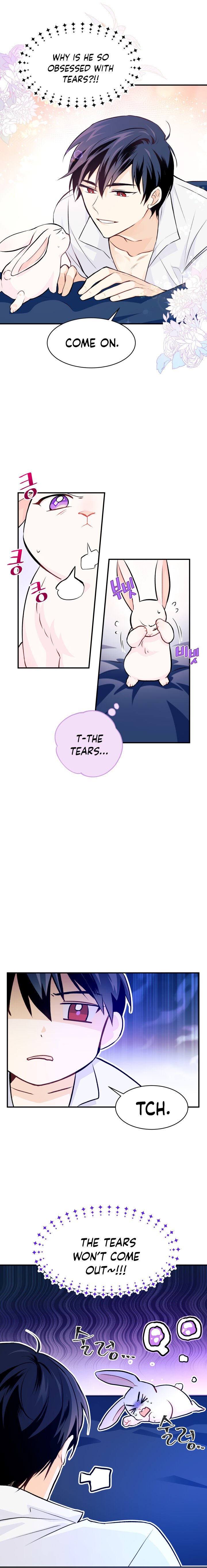 A Symbiotic Relationship Between A Rabbit And A Black Panther chapter 3 page 6