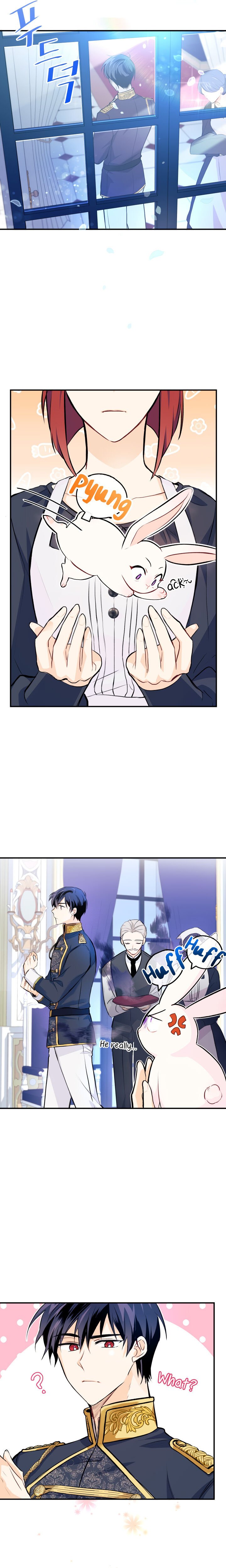 A Symbiotic Relationship Between A Rabbit And A Black Panther chapter 3 page 9