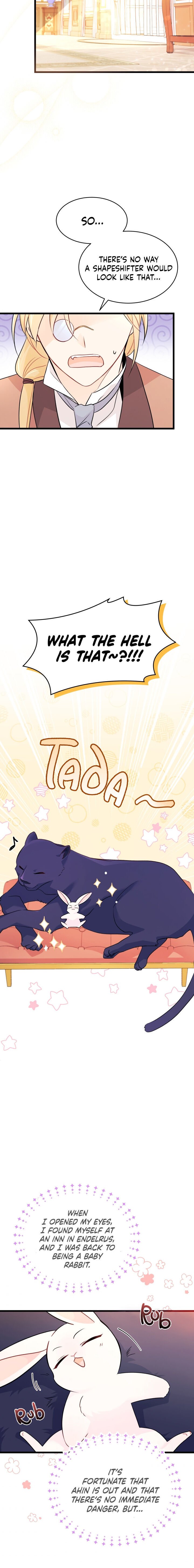 A Symbiotic Relationship Between A Rabbit And A Black Panther chapter 32 page 10