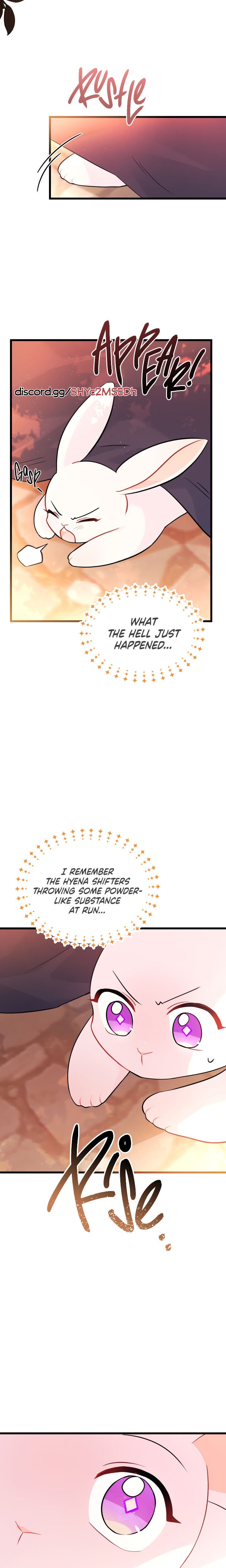 A Symbiotic Relationship Between A Rabbit And A Black Panther chapter 33 page 18